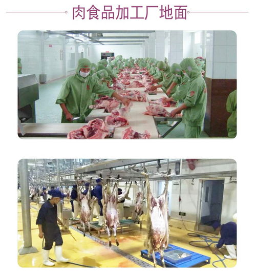 聚氨酯地坪在食品生產加工廠的應用特點